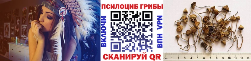 Галлюциногенные грибы мицелий  Светлый 